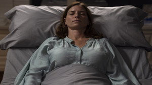 The Sleeping Woman (2024)